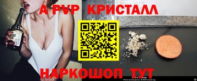скорость Кингисепп