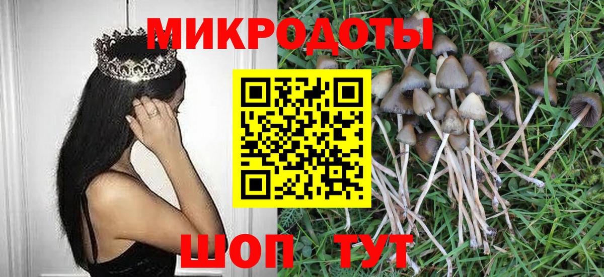 Галлюциногенные грибы мицелий Кандалакша