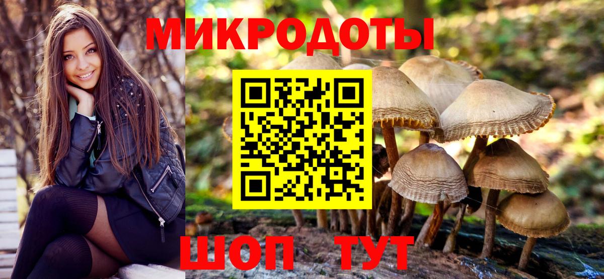 Кандалакша  Галлюциногенные грибы ЛСД  Вход с VPN 