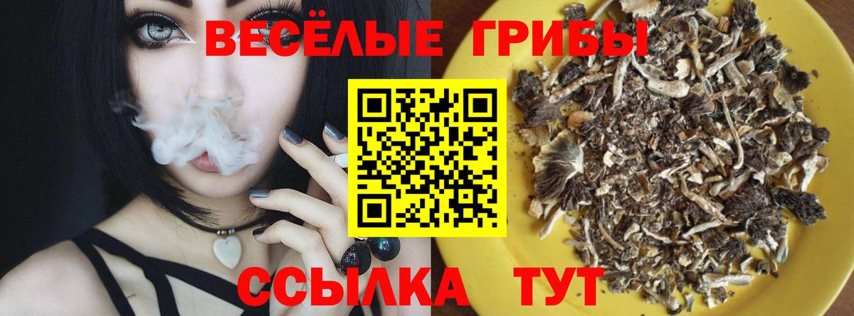 Гашиш Кандалакша