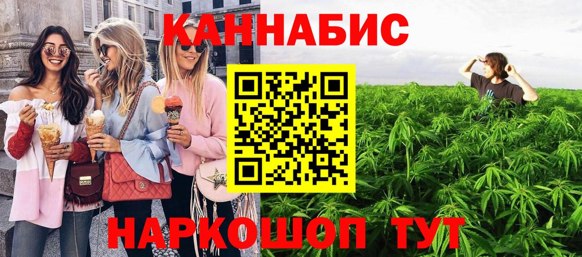 Бошки Шишки THC 21%  Вход с VPN  Бошки Шишки SATIVA & INDICA  Бошки Шишки THC 21%  Кандалакша 